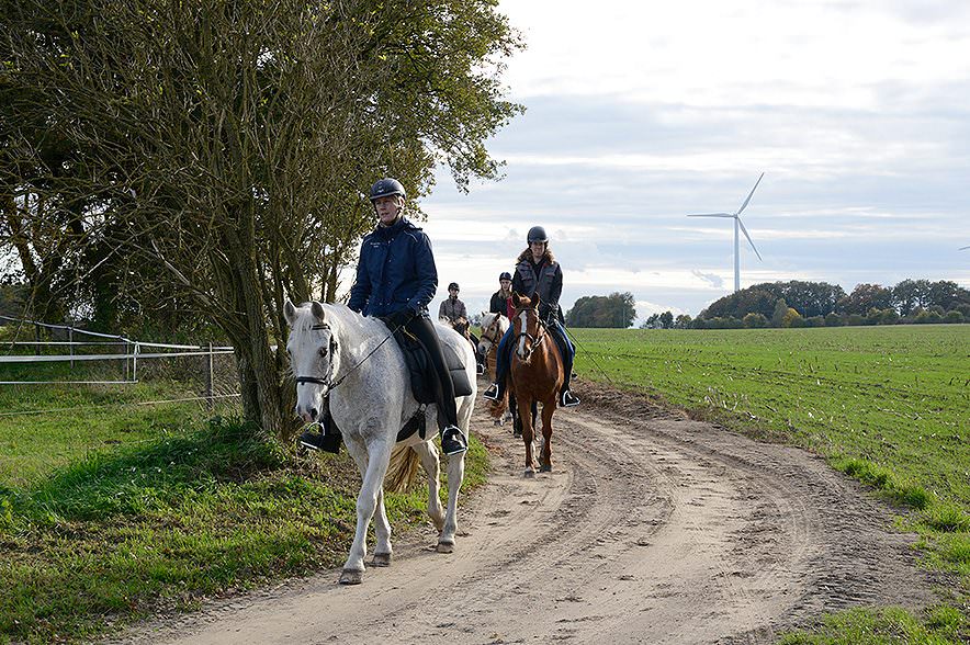 Reiten Lernen Als Spateinsteiger Pferdemagazin