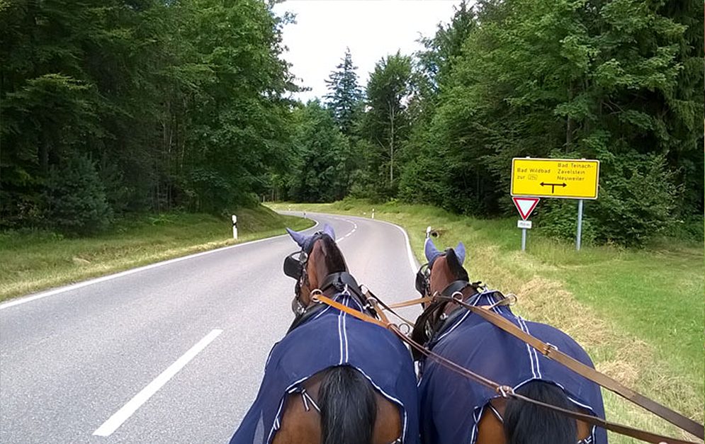 2 Frauen haben sich auf die Reise gemacht und sind mit der Kutsche zur Eurocheval gefahren. In ihrem Blog berichten sie, wie es ihnen während der Reise ergangen ist.