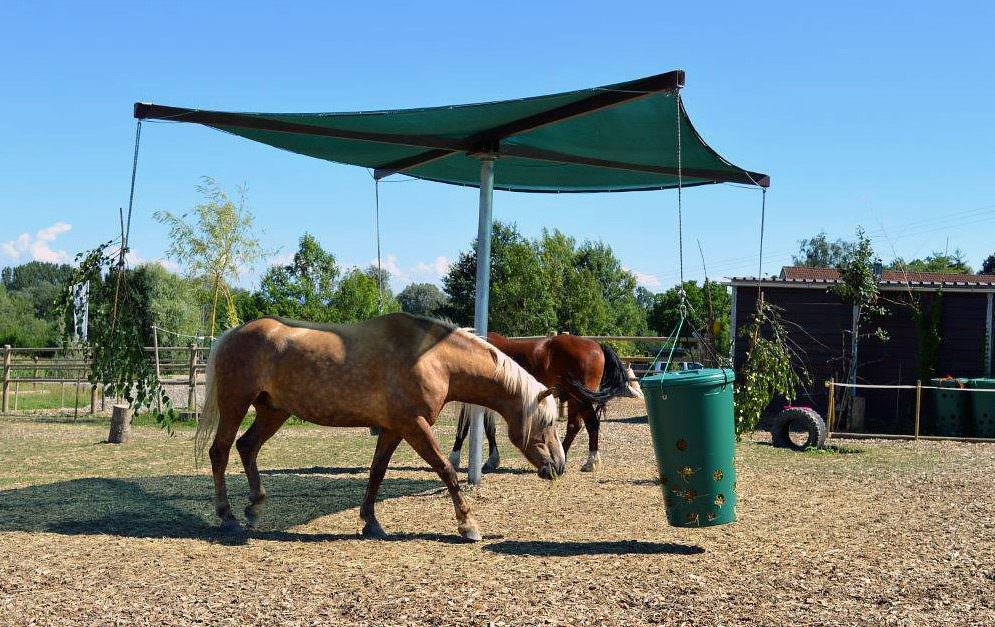 Die Innovation auf dem Paddock Trail: Der HEU-TO-GO kombiniert das Fress- und Laufverhalten der Pferde in Anlehnung an das Leben ihrer Urahnen.
