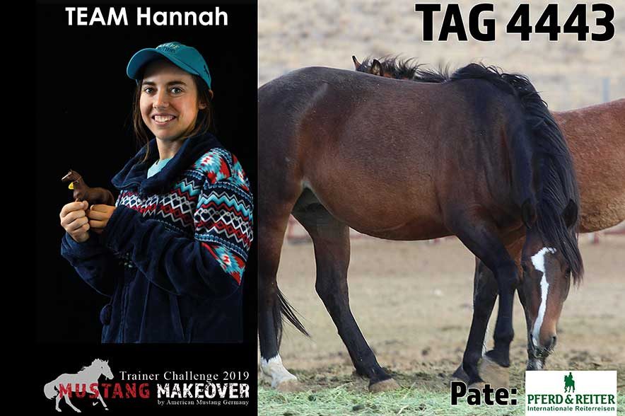 Mustang Makeover Auslosung: Team Hannah