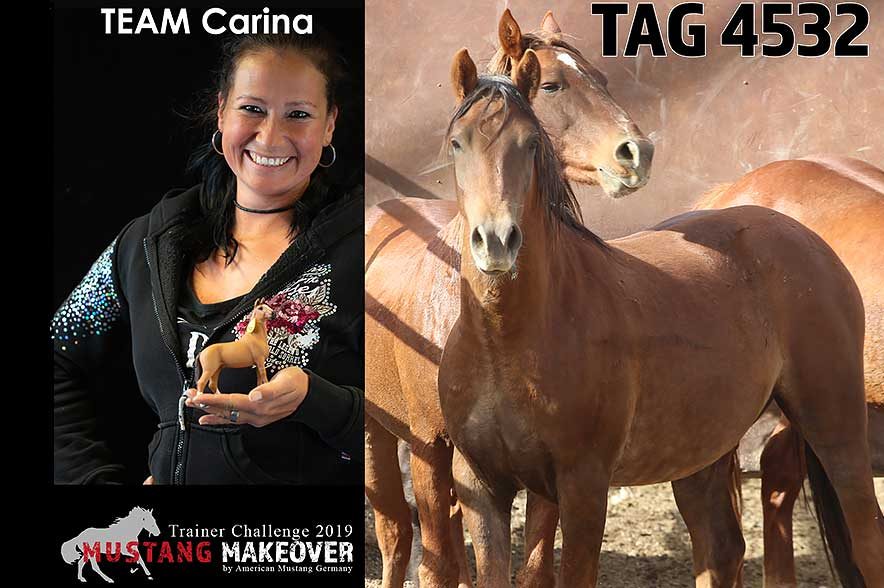 Mustang Makeover Auslosung: Team Carina