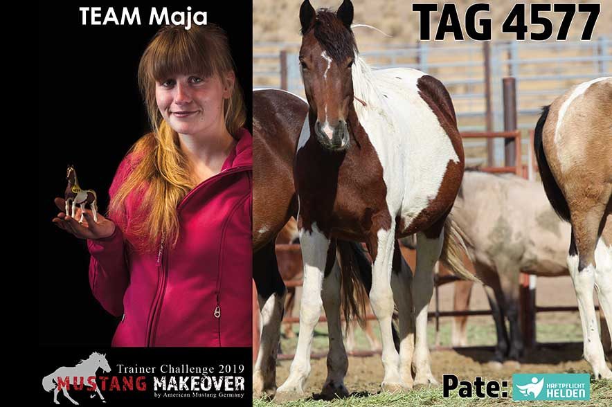 Mustang Makeover Auslosung: Team Maja