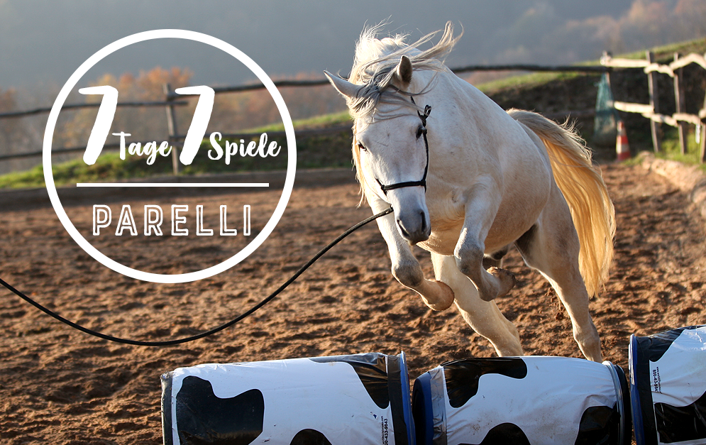 Tauche ein in die Welt des Natural Horsemanship nach Parelli. Jeden Tag veröffentlichen wir in dieser Woche eines der 7 Spiele nach Parelli (inkl. Film).