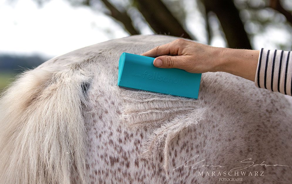 Schnelle, einfache und effektive Unterstützung beim Fellwechsel - das wünscht sich doch jeder Pferdebesitzer! Der Fellwechselhelfer von fellschön® macht’s möglich!