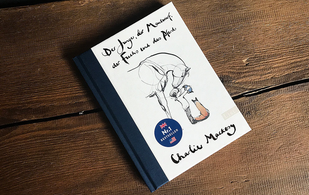 Der Nr.1 Bestseller aus England: Die tollen Zeichnungen und Geschichten von Charlie Mackesy sind seit kuzer Zeit auch in Deutschland als Buch erhältlich.