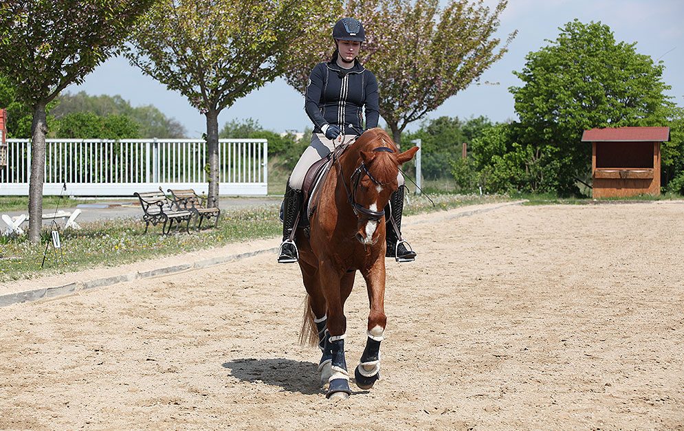 Um die Stellung und Konzentrationsfähigkeit deines Pferdes zu verbessern, eignet sich diese Reitübung besonders gut.
