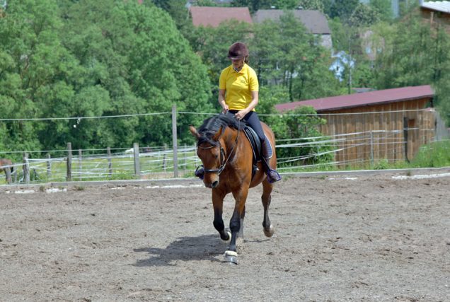 Reitübung "Aus dem Zirkel wechseln": Mit dieser Reitübung wird die Durchlässigkeit des Pferdes trainiert und somit eine feinere Hilfengebung ermöglicht.