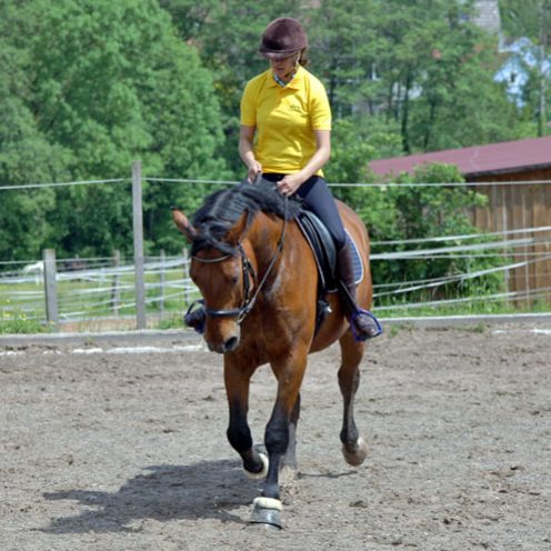 Reitübung "Aus dem Zirkel wechseln": Mit dieser Reitübung wird die Durchlässigkeit des Pferdes trainiert und somit eine feinere Hilfengebung ermöglicht.