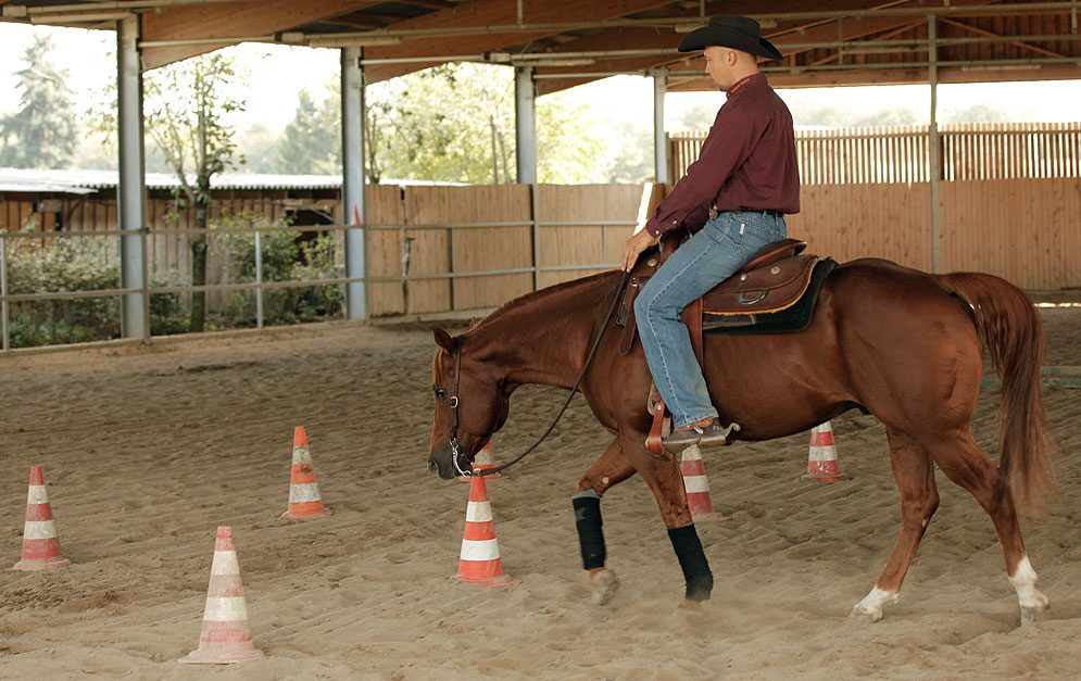 Das Reiten auf gebogenen Linien und engen Wendungen zählt zu den grössten Herausforderungen in der täglichen Arbeit mit dem Pferd. Neben einer exakten Stellung und präzisen Biegung ist vor allem die korrekte Hilfengebung für den Erfolg der Übung maßgeblich.