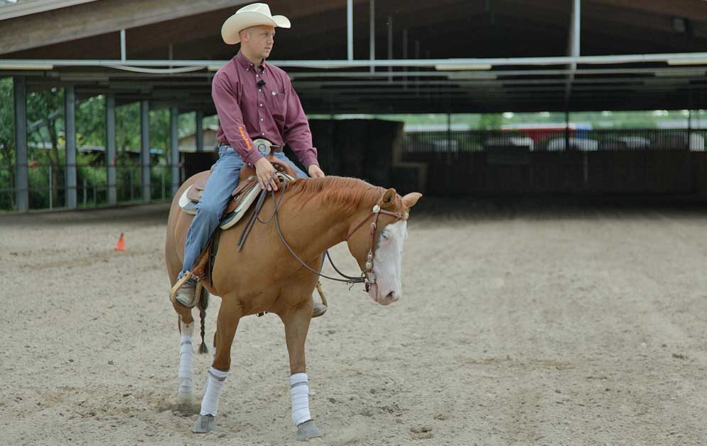 Reitübung Zirkel verkleinern: Wir zeigen dir wie du mit dieser bekannten Lektion die Muskulatur und die Hinterhandaktivität deines Pferdes verbessern kannst.
