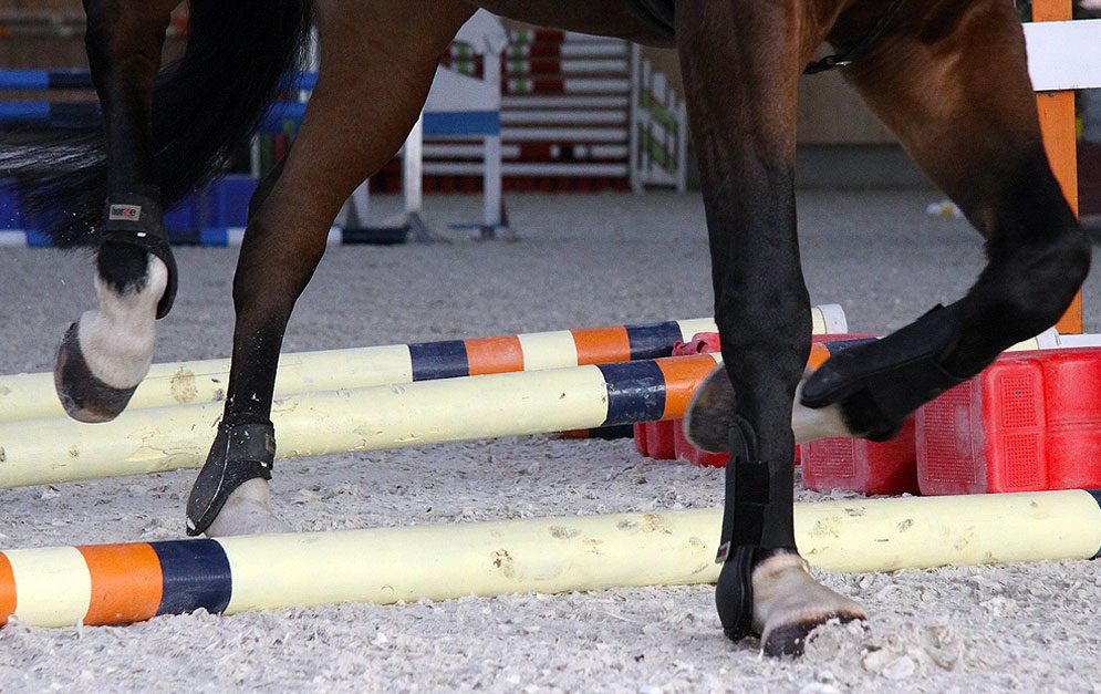 Reitübung (Un)Geordnete Stangen: Einfacher Aufbau, vielfältiges Training! Überrasch dein Pferd durch unvorhersehbare Wege und Wendungen und fördere so ihre Konzentration.